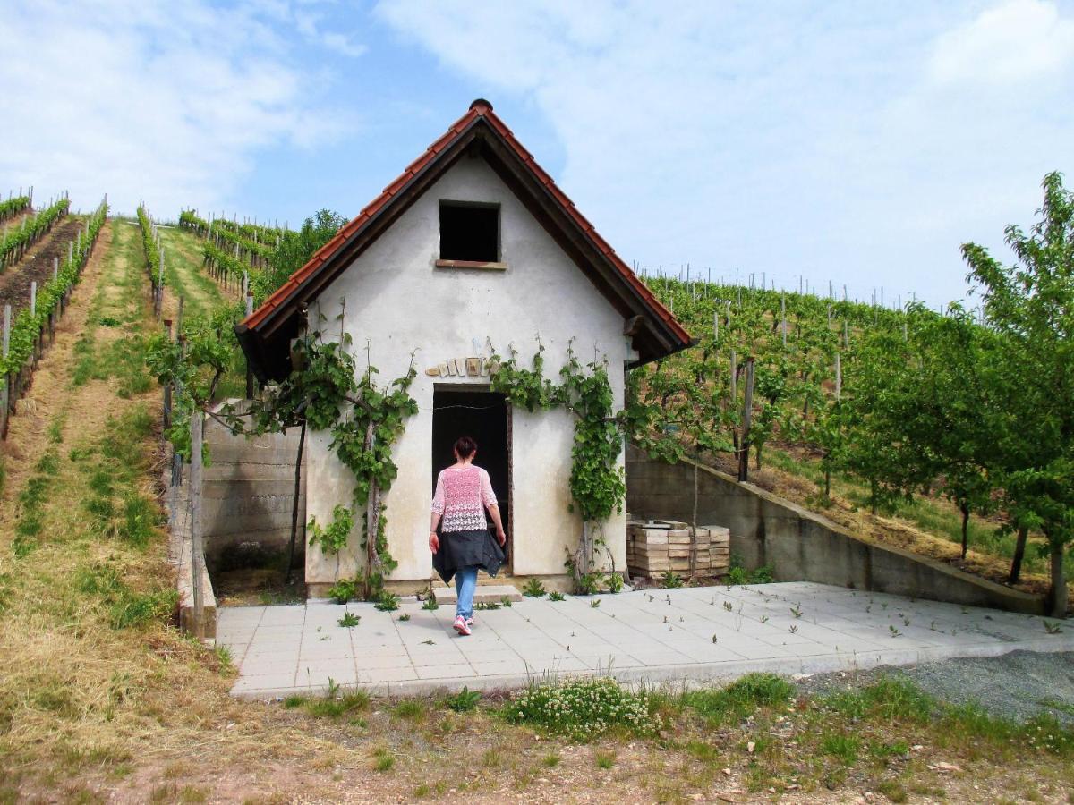 Haus Mit Seele Im Nahetal Weinsheim  Exterior foto