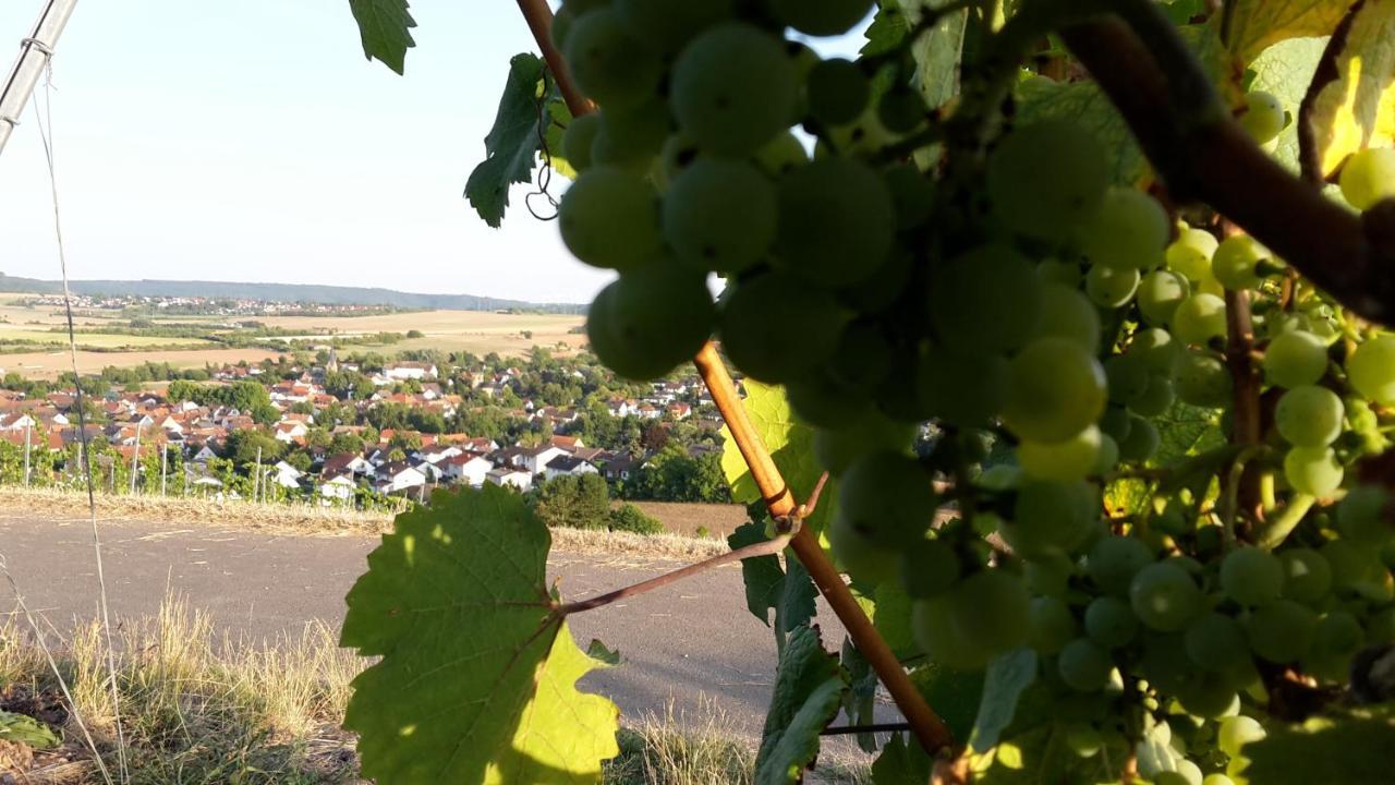 Haus Mit Seele Im Nahetal Weinsheim  Exterior foto